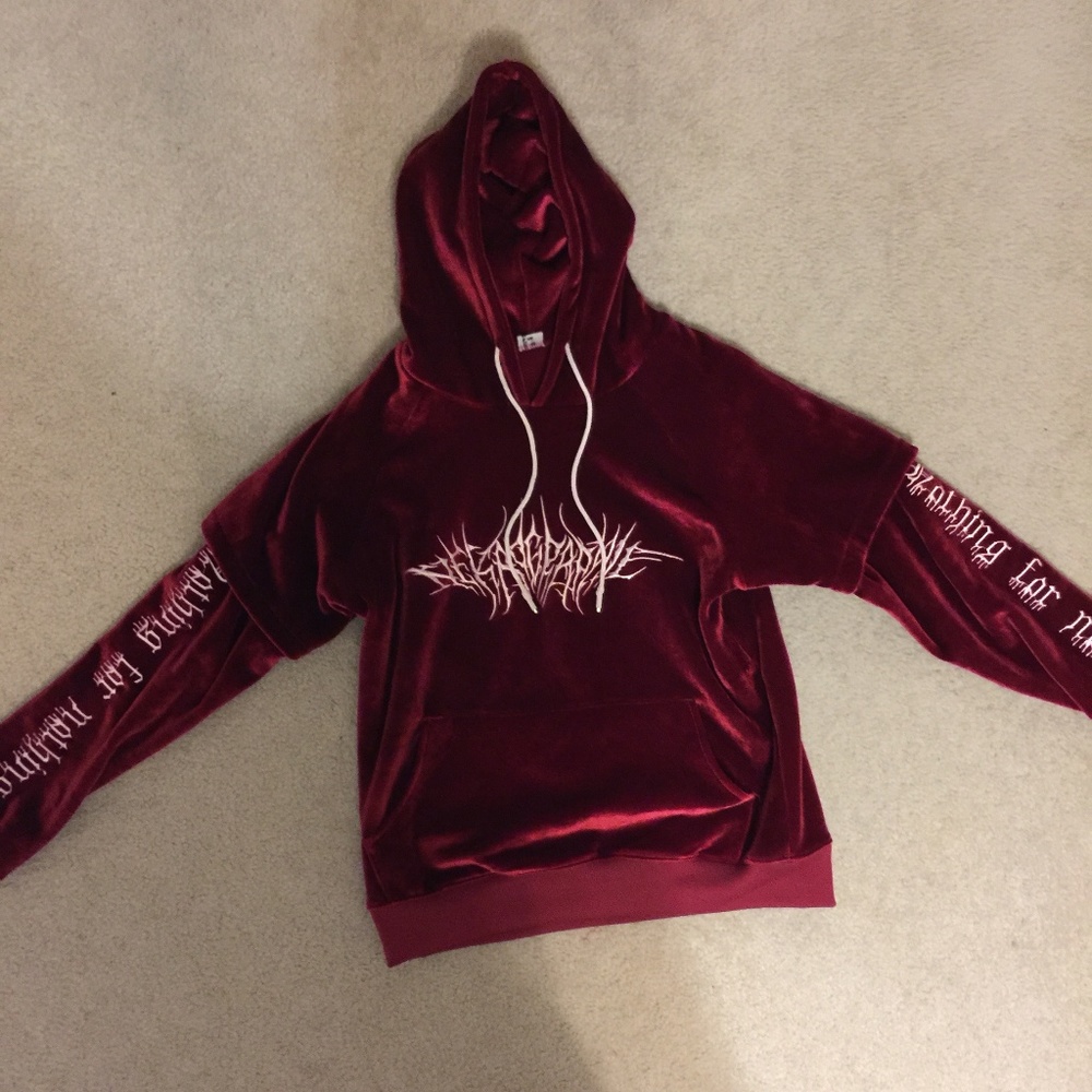 Velvet Embroidered Hoodie